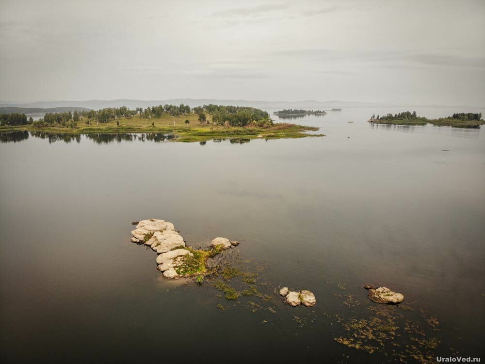 Какая рыба водится в реке миасс в челябинске