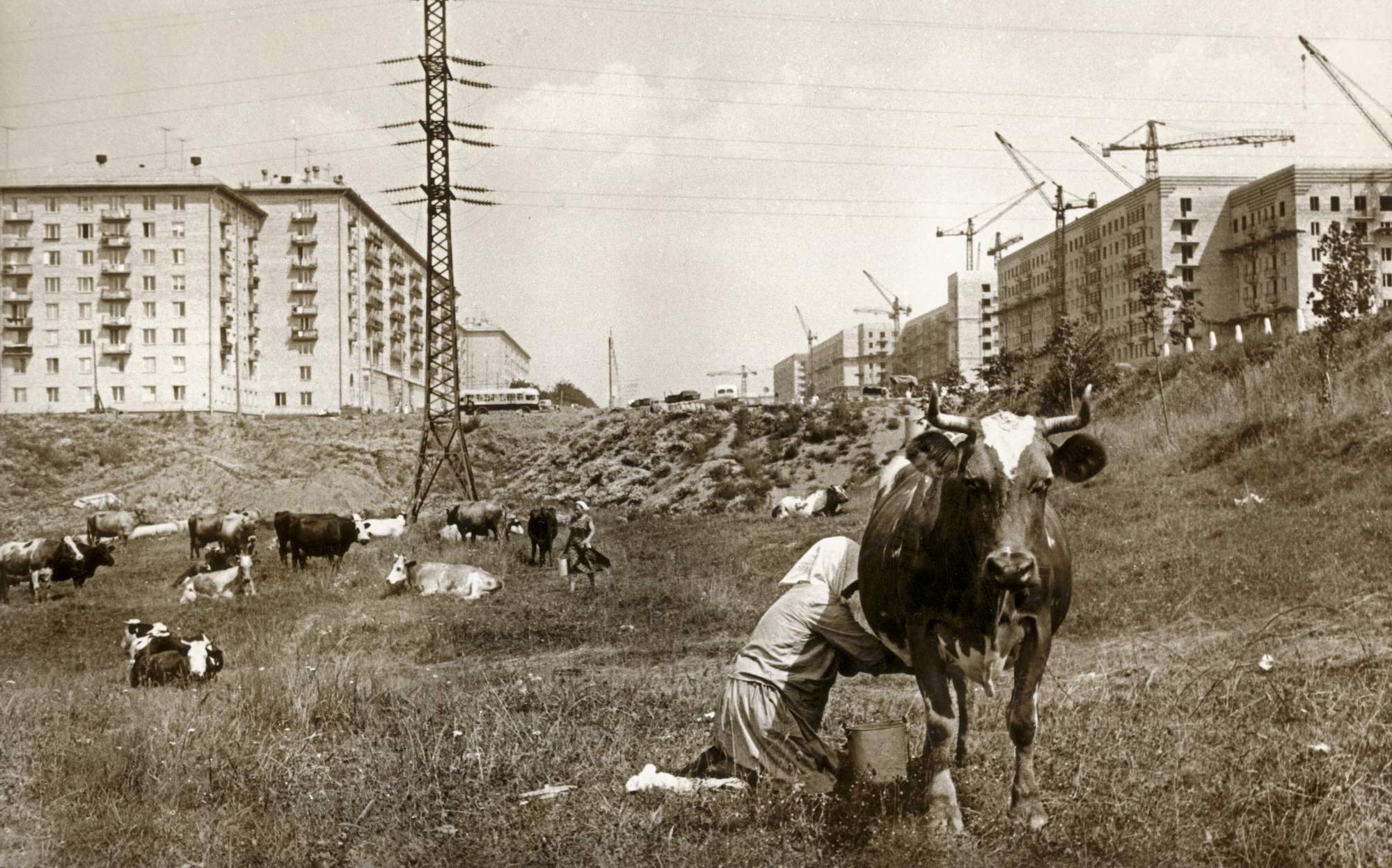 1958 год картинки