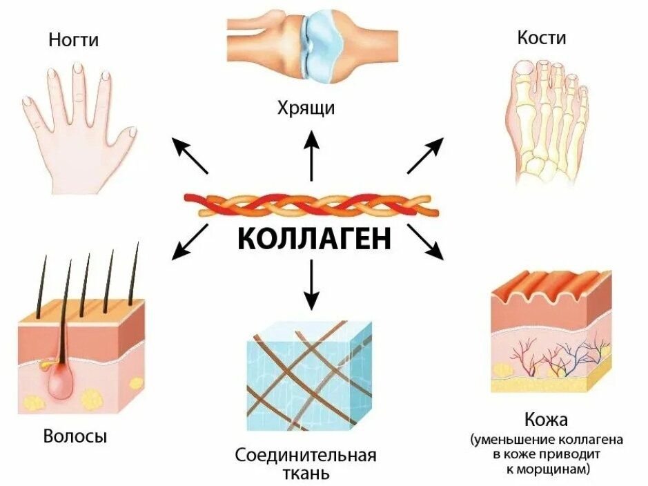 Спорт и здоровье