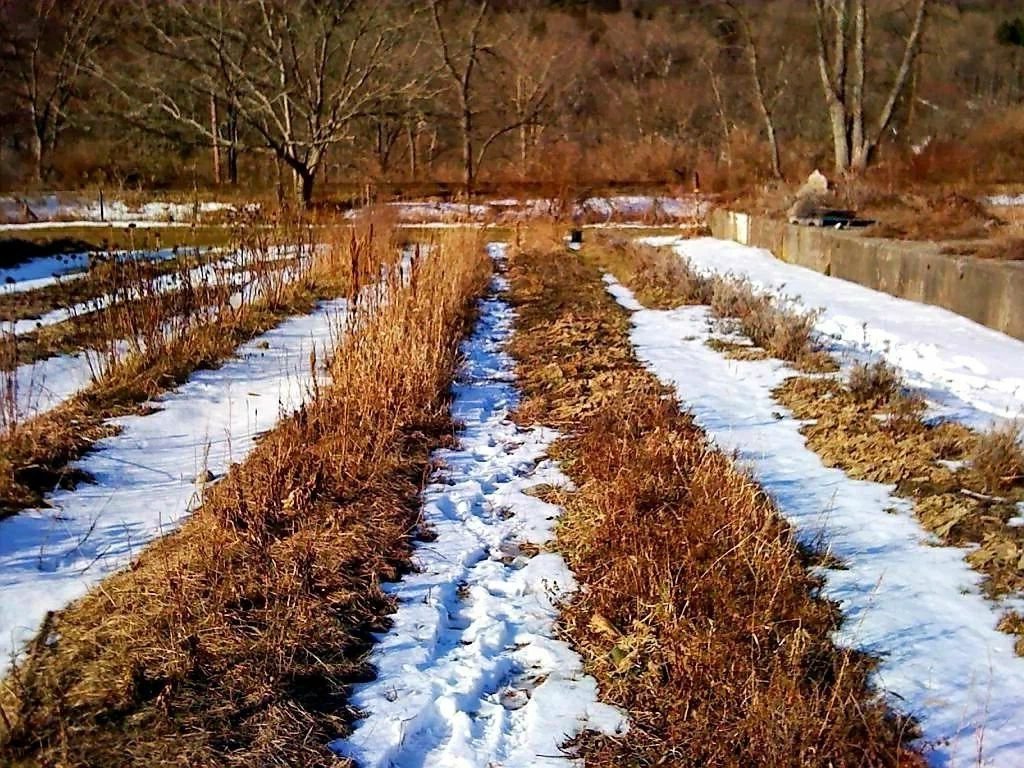 После зимы фото. Огород весной. Сад ранней весной. Огород ранней весной. Огород в марте.