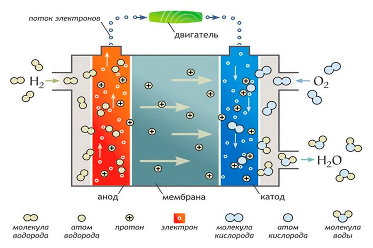 Энергия мембраны. Схема водородного топливного элемента. Принцип работы водородного двигателя на топливных элементах схема. Топливная ячейка на водороде. Топливный элемент на водороде принцип работы.