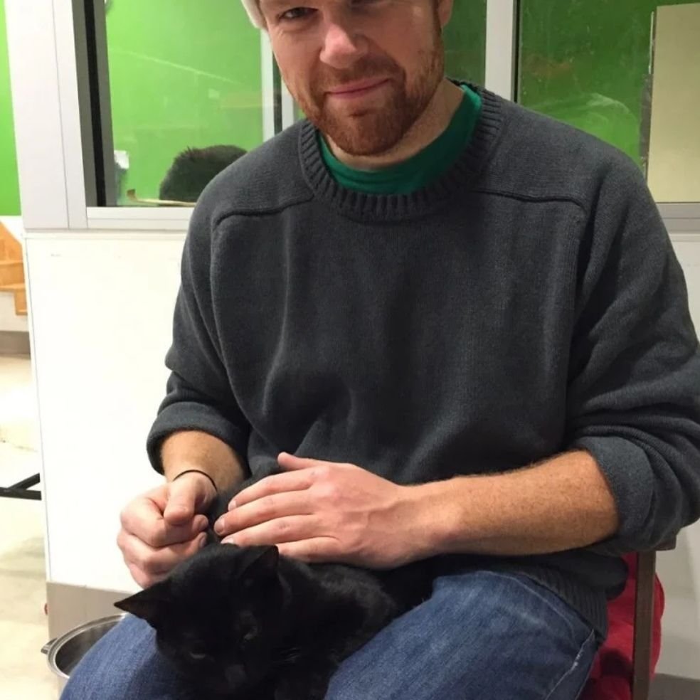 История о том, как чёрный кот долго блуждал по улицам, но потом выбрал себе хозяев и обрёл счастье в жизни