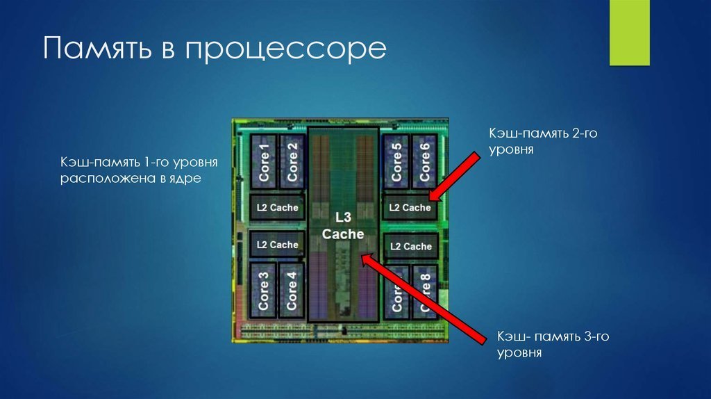 Память cpu. Кэш память процессора. Кэш память l1 l2 l3. Уровни кэш памяти процессора. Объем кэш памяти процессора l 3,2,1.