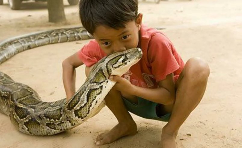Змеи видео для детей. Дети со змеями. Про змей для детей.
