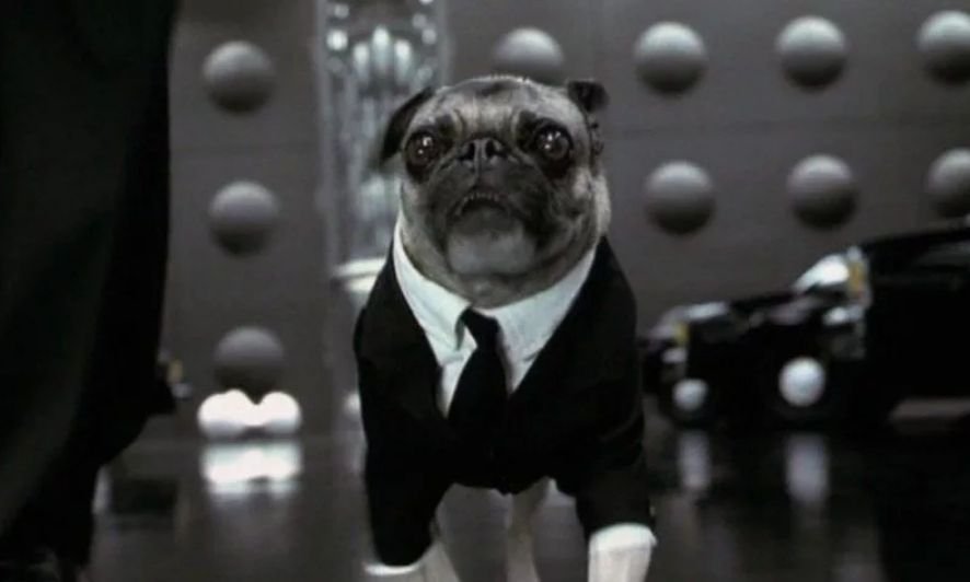 A f agent. A f agent