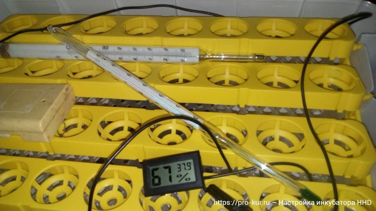 калибровка инкубатора несушка би 2. калибровка инкубатора. терморегулятор для инкубатора несушка на 104 яйца автоматический. инкубатор несушка би 2 терморегулятор. терморегулятор для инкубатора би-1 би-2.