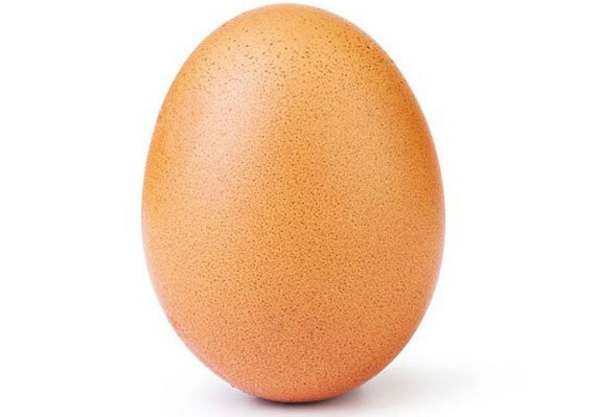 Яйцо картинка. Яйцо. Простое яйцо. Яйцо на белом фоне. Одно яйцо.