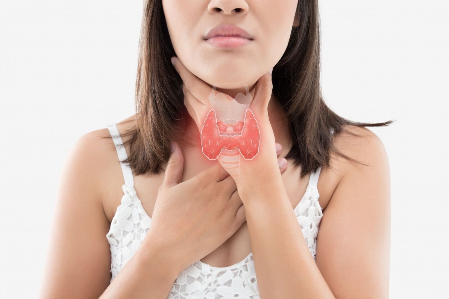 Thyroid щитовидная железа