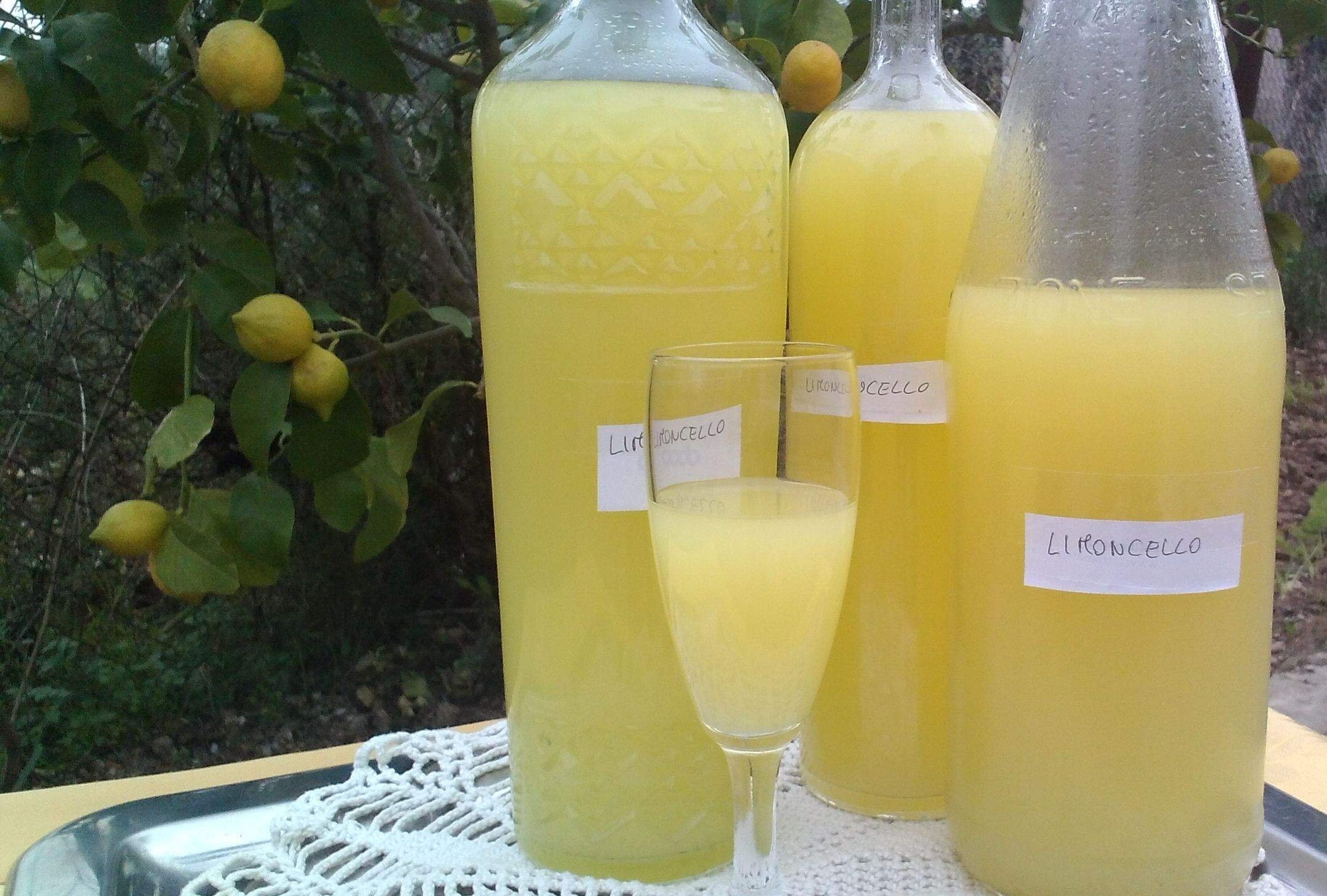 Limoncello garden club. Лимончелло крепость. Лимончелло ликер градусы. Лимончелло молочный. Лимончелло Италия.