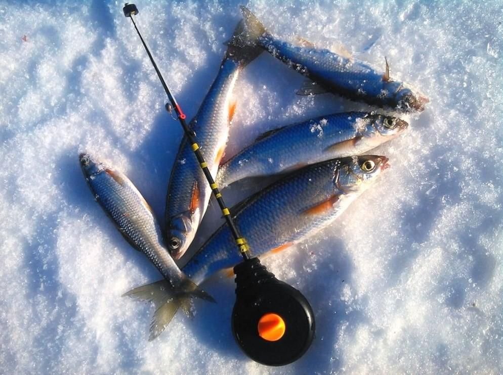 Лов зимой. Зимние рыболовные снасти. Рыбалка зимой. Мормышки на Ельца для зимней. Снасть на чебака зимой.
