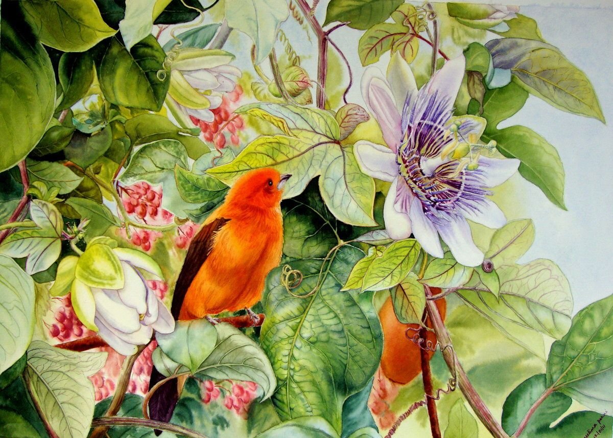 Акварельная живопись птицы и цветы