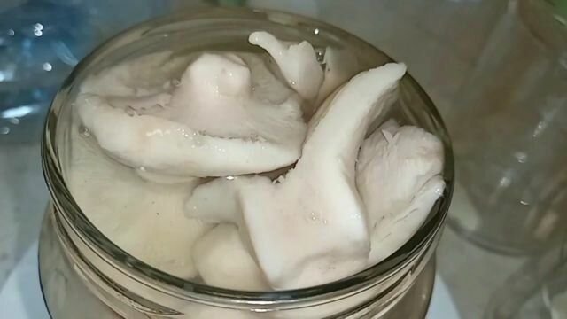 Волнушки грузди соленые. Грибы грузди соленые. Посолить белые. Грибы грузди маринованные. Грузди белые маринованные.