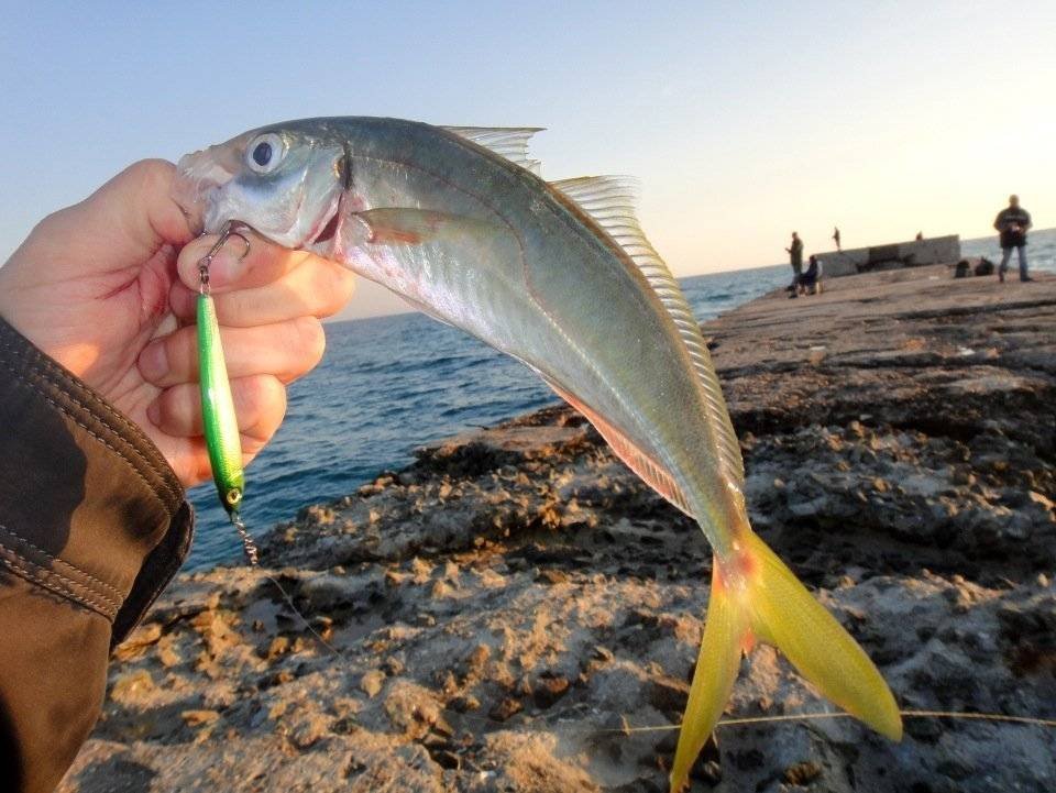 Рыбалка черного моря