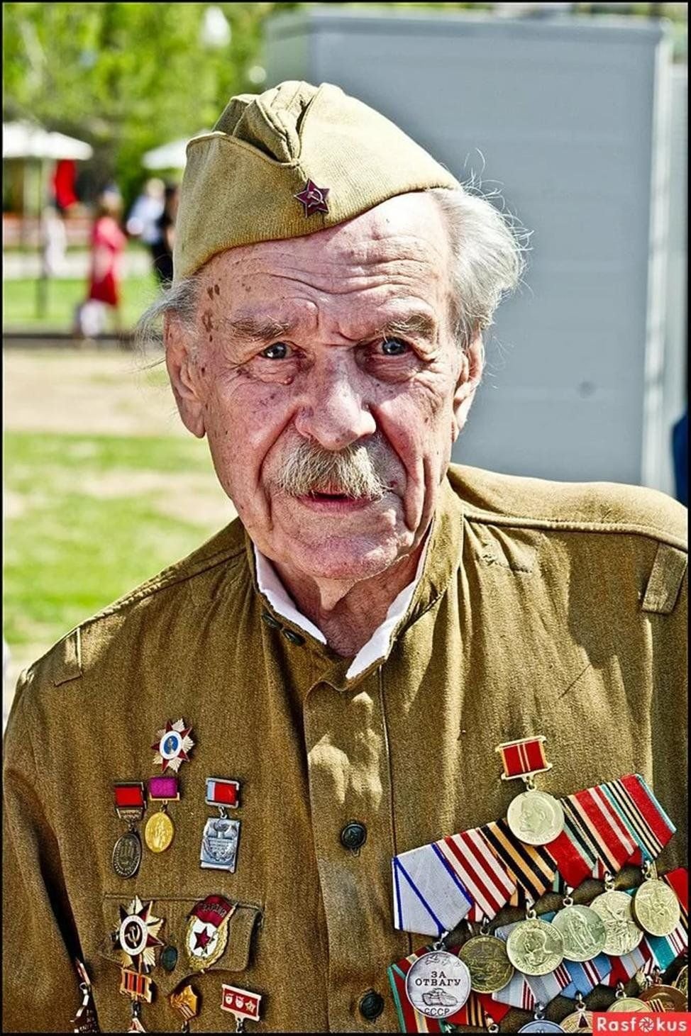 Ветеран лев гицевич. Дед ветеран. Награды ветеранов. Недорубов константин иосифович - полный кавалер. Манкош константин федоровичветеран второй мировой.
