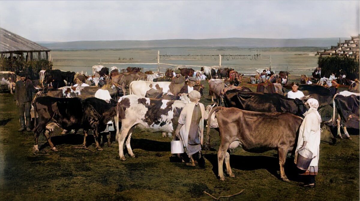 Колхоз и совхоз. Колхоз Башкирия 30е гг. Колхоз в Крыму 1930г. Урал в 1930-е годы. Сельское хозяйство Венгрии 20-30е годы 20 века.