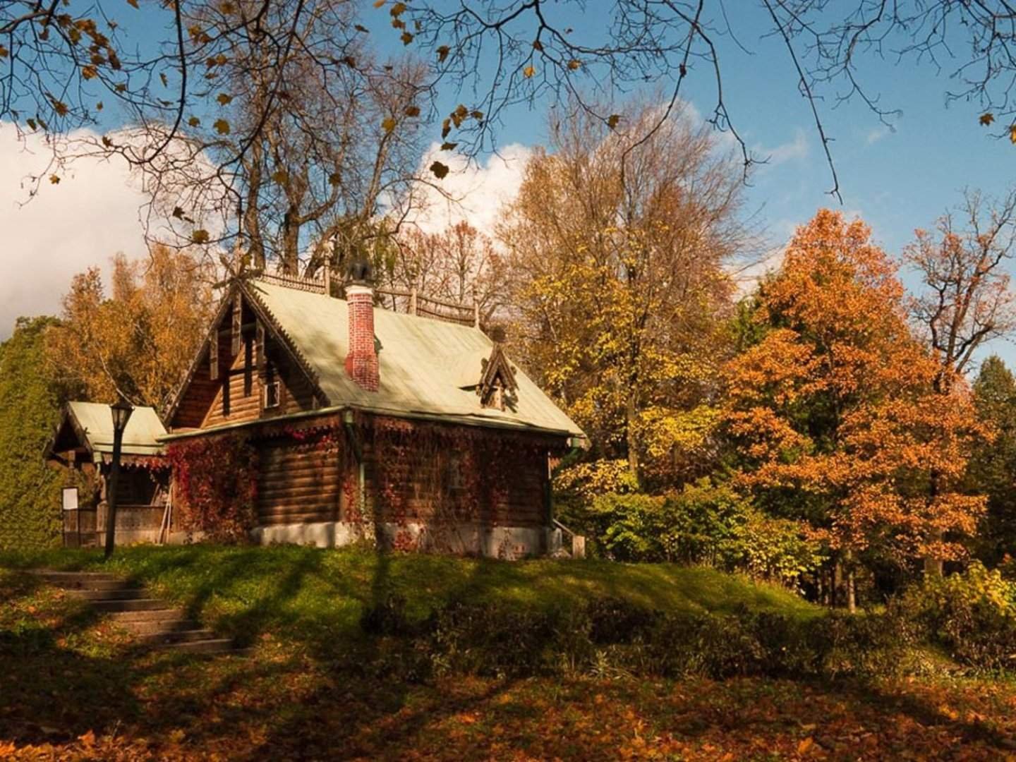 Друскининкай лес избушка