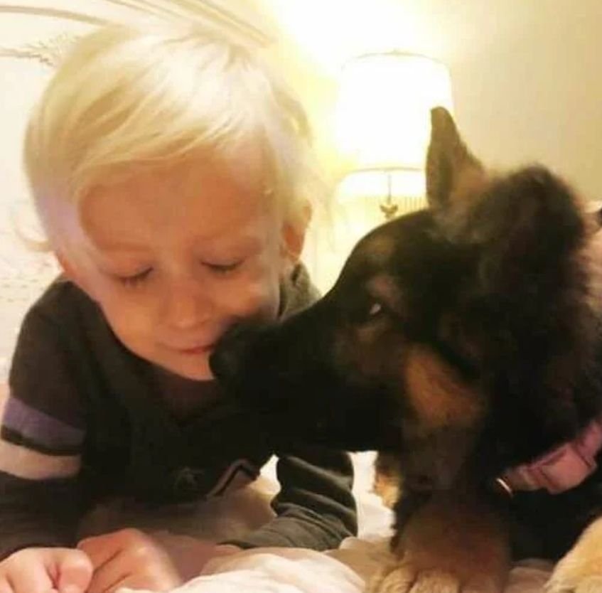 История как женщина мечтала завести собаку, но долгое время не могла