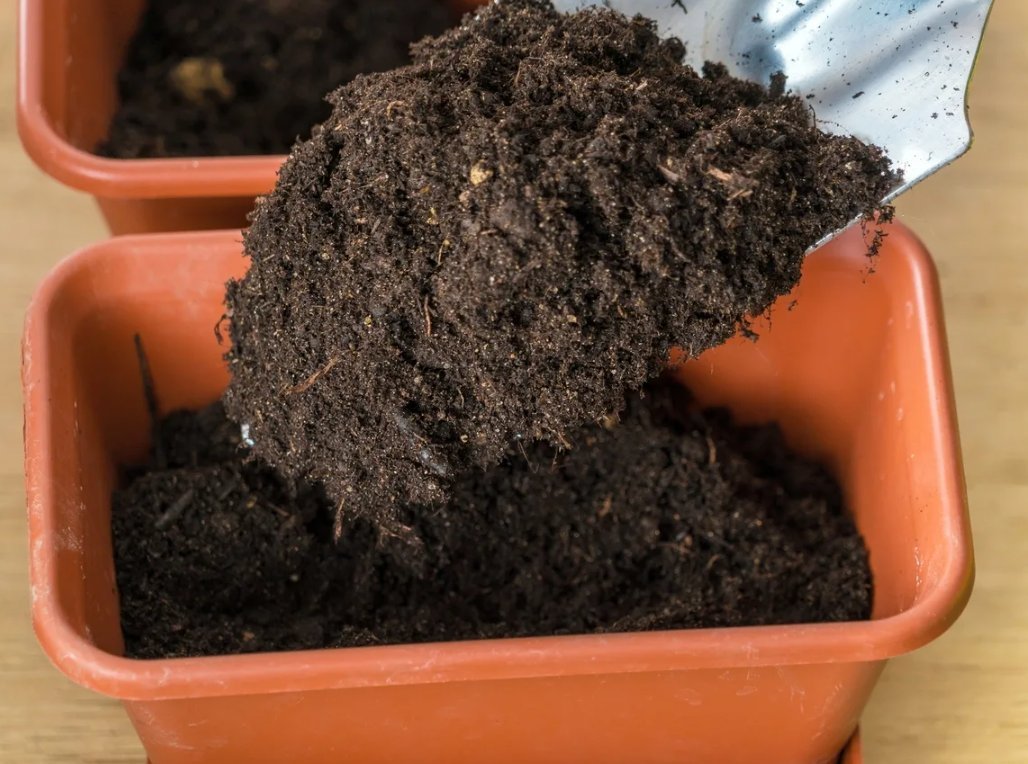 почва для посадки рассады. почва для посадки рассады. почвосмеси для рассады. грунт для посадки рассады. почвенный субстрат, zinco.