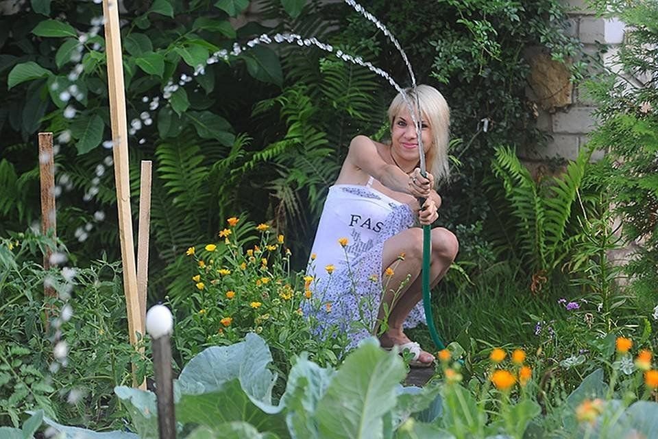 Соседка на участке. Девушка на даче летом. Моя соседка по даче. Красивая соседка по даче. Соседка на участке.