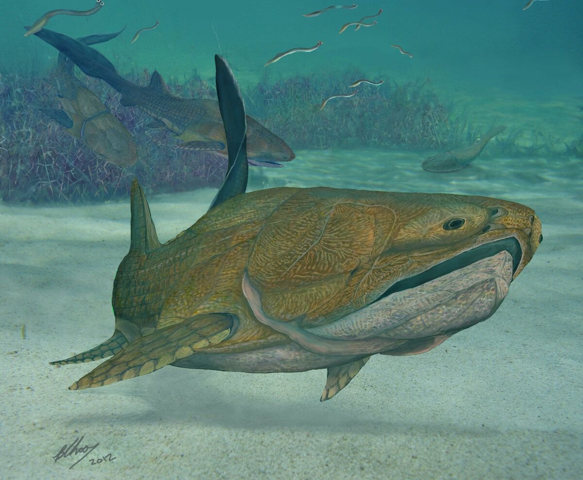 400 млн лет назад какая. Entelognathus primordialis. Хрящевые рыбы Палеозойская Эра. Панцирные рыбы Силур. Челюстноротые рыбы Силур.