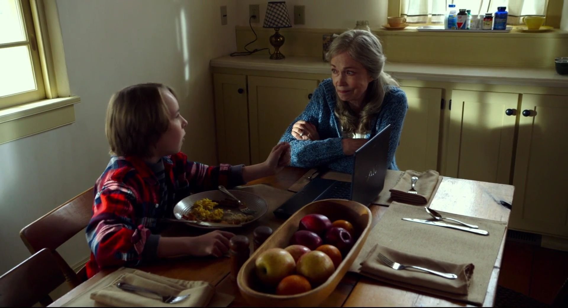 визит шьямалана. визит фильм ужасов 2015. визит фильм шьямалана. внуки приехали к бабушке ужасы. визит фильм 2015.