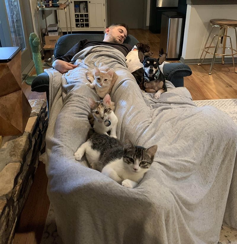 ужин сильного и независимого мужчины. одинокий независимый мужчина. сильный независимый мужик. сильный и независимый мужчина. сильная и независимая с котами.