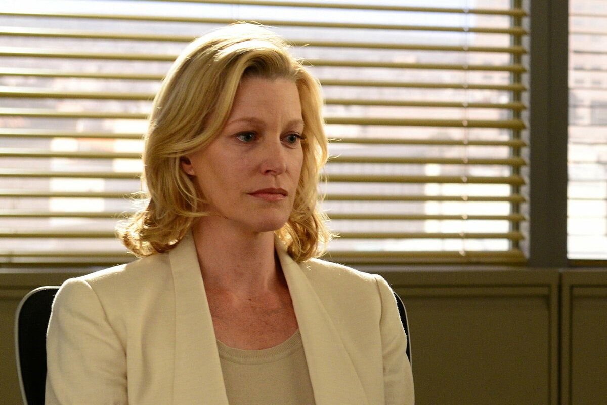 Skyler white. Скайлер Уайт. Скайлер Breaking Bad. Skyler White (Breaking Bad). Анна Ганн Скайлер.