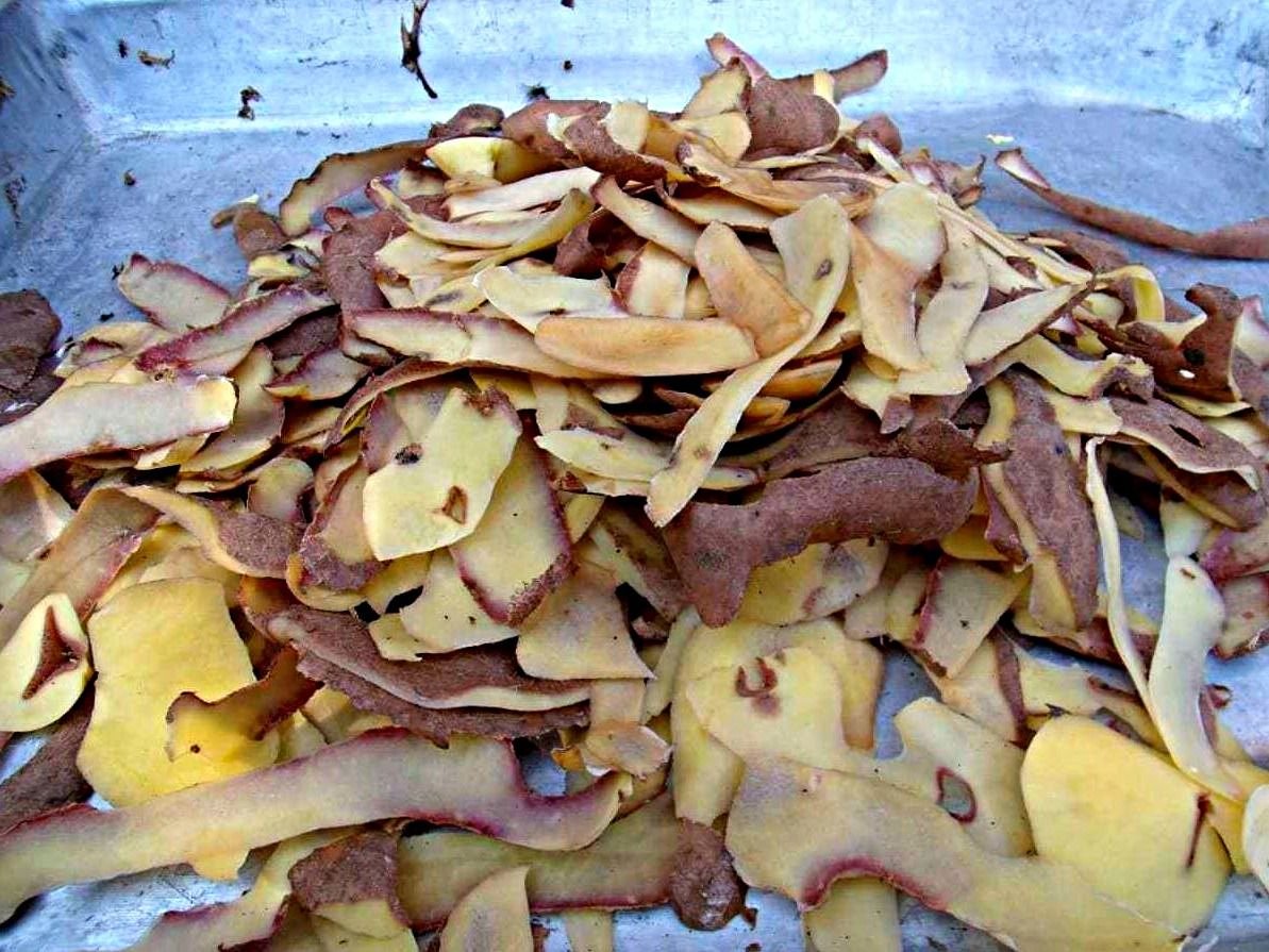 использовать картофельные очистки. использовать картофельные очистки. использовать картофельные очистки. картофельные очистки на огороде. сухие картофельные очистки.
