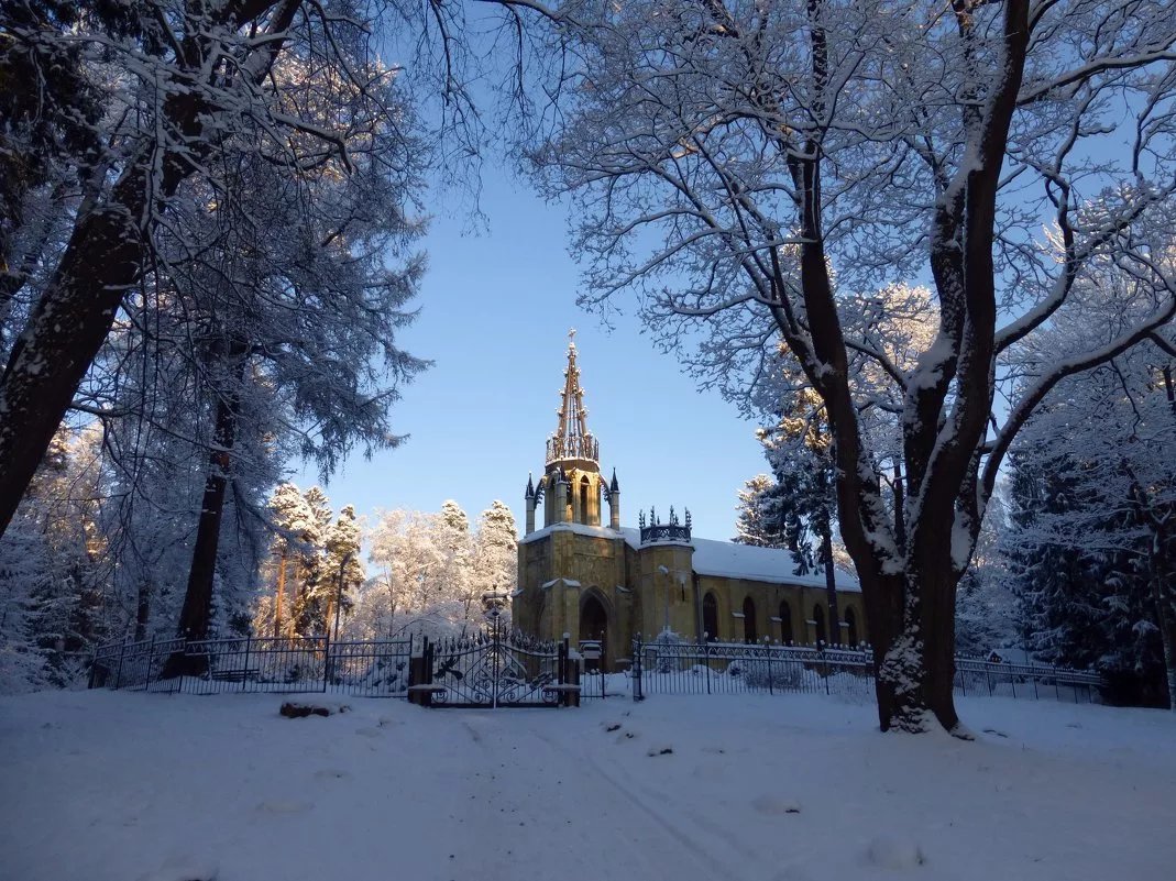 Фото в парголово спб