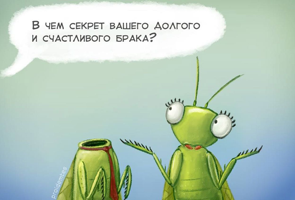 Богомол карикатура