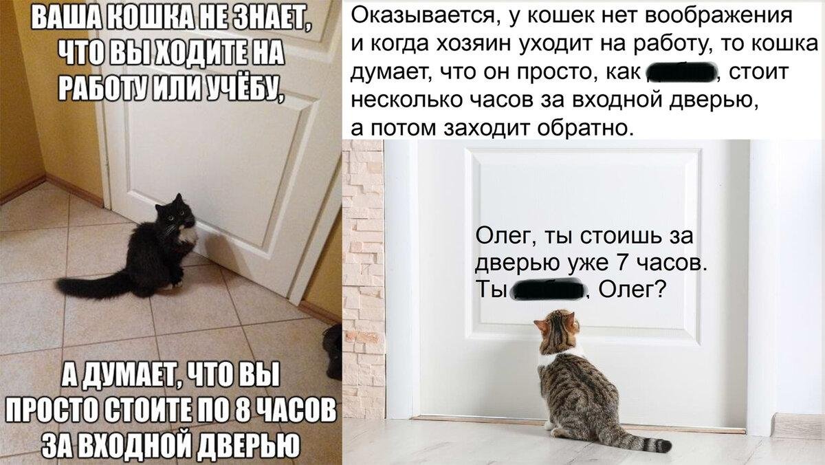 Как определить кто стоит за дверью