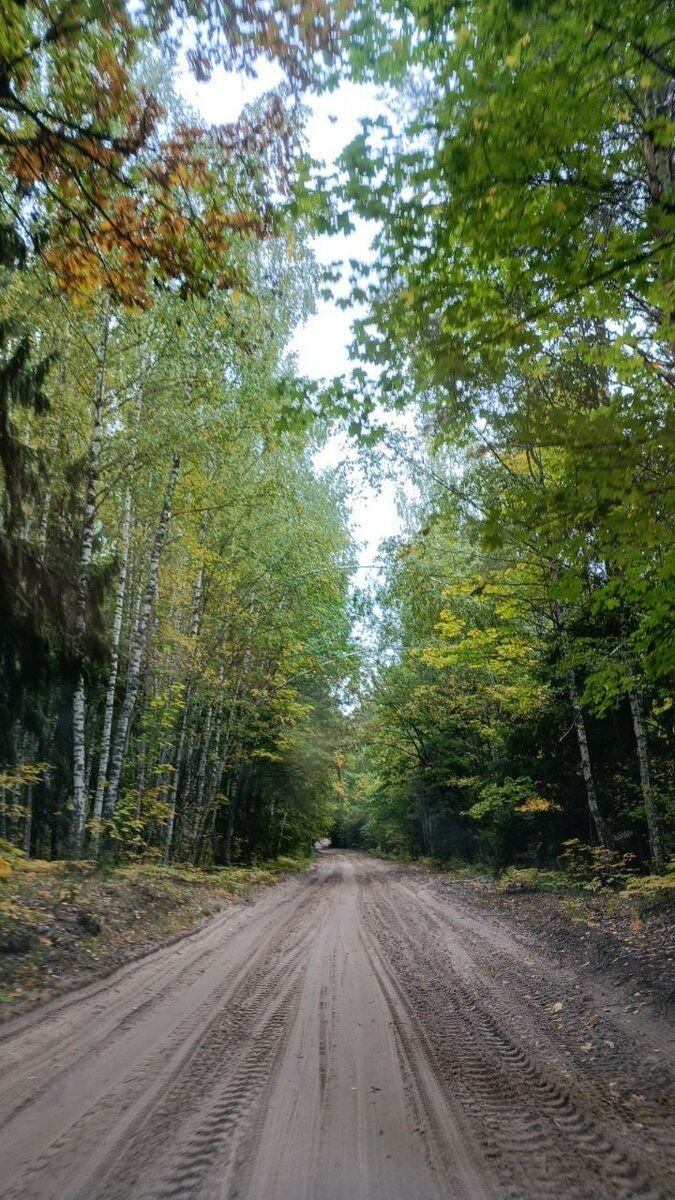 Хозяйство