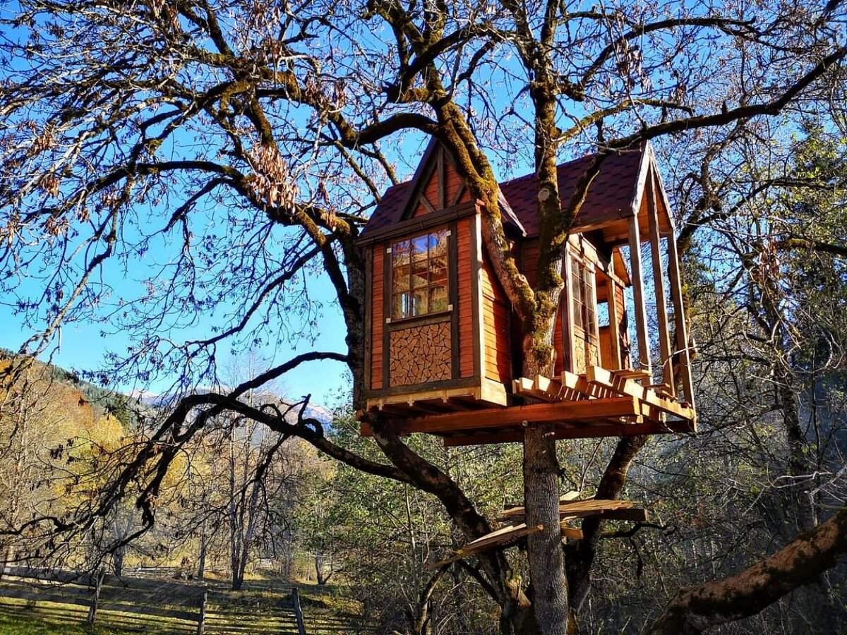 Жилой дом на дереве. Ласточкино гнездо дом на дереве. Домик на дереве отель в Подмосковье Ласточкино гнездо. Ласточкино гнездо дом на дереве Веневский район. Дом на дереве.