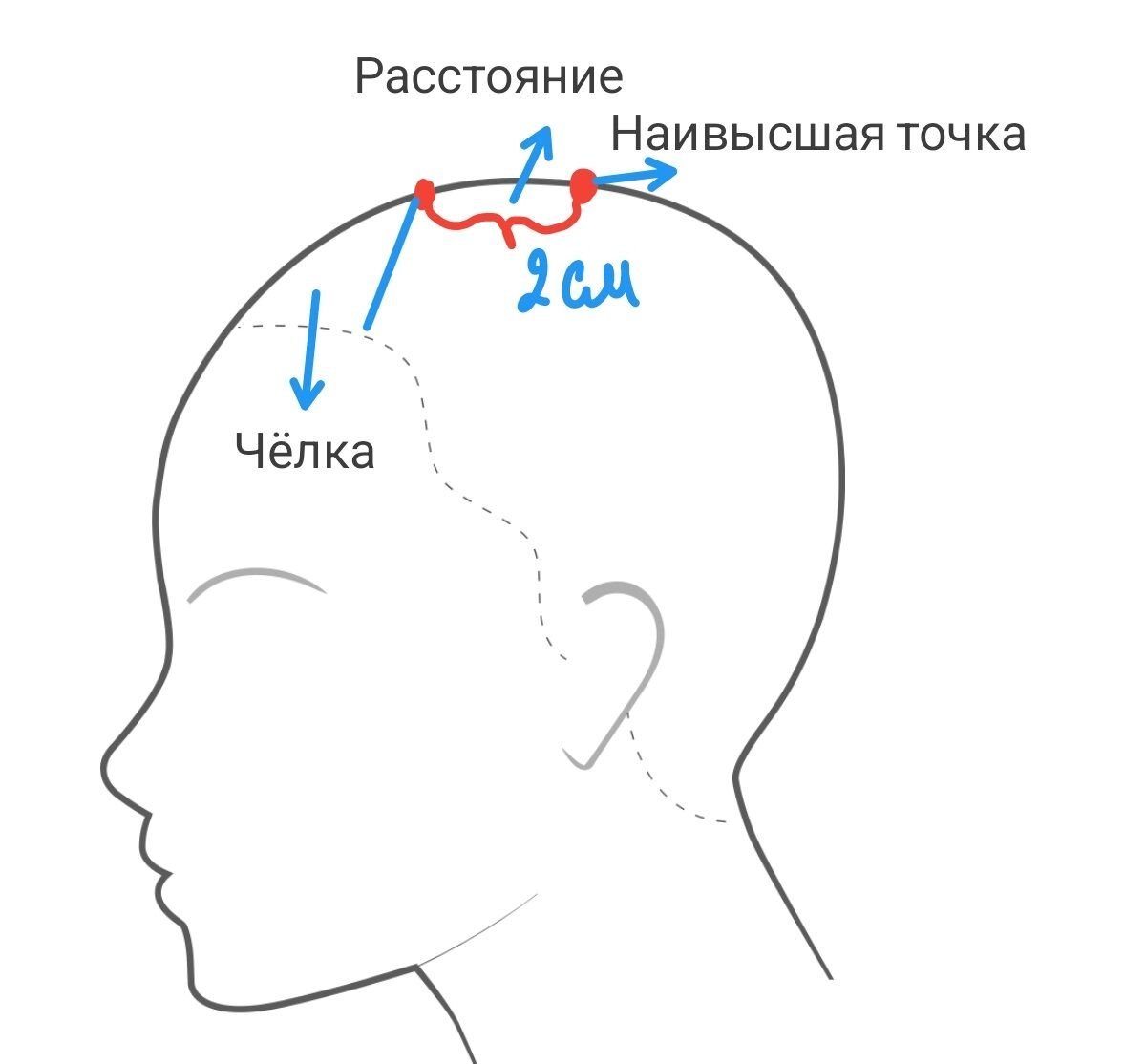 Челка шторка схема