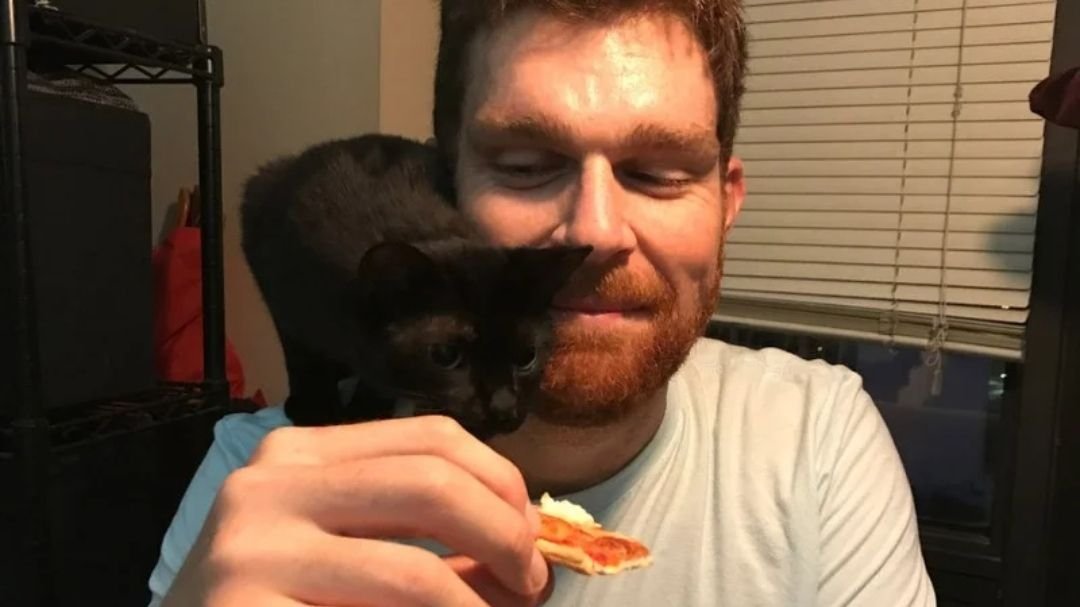 История о том, как чёрный кот долго блуждал по улицам, но потом выбрал себе хозяев и обрёл счастье в жизни