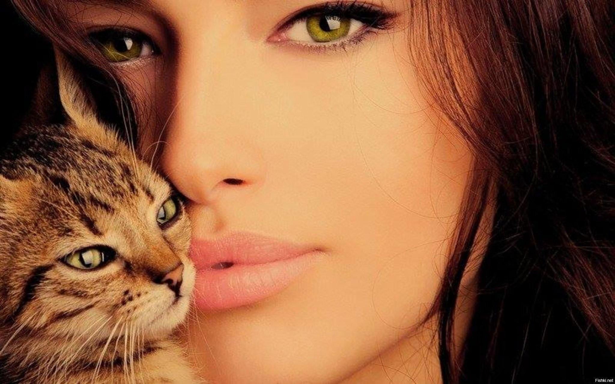 Красивые картинки девушки кошки