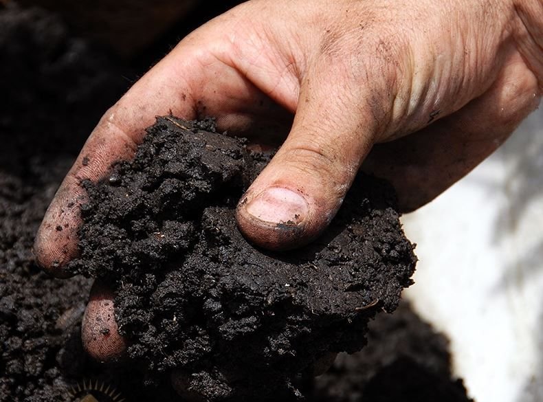 Мокрая почва. Влажность почвы. Удобрение почвы. Почему земля сырая. Здоровая почва.