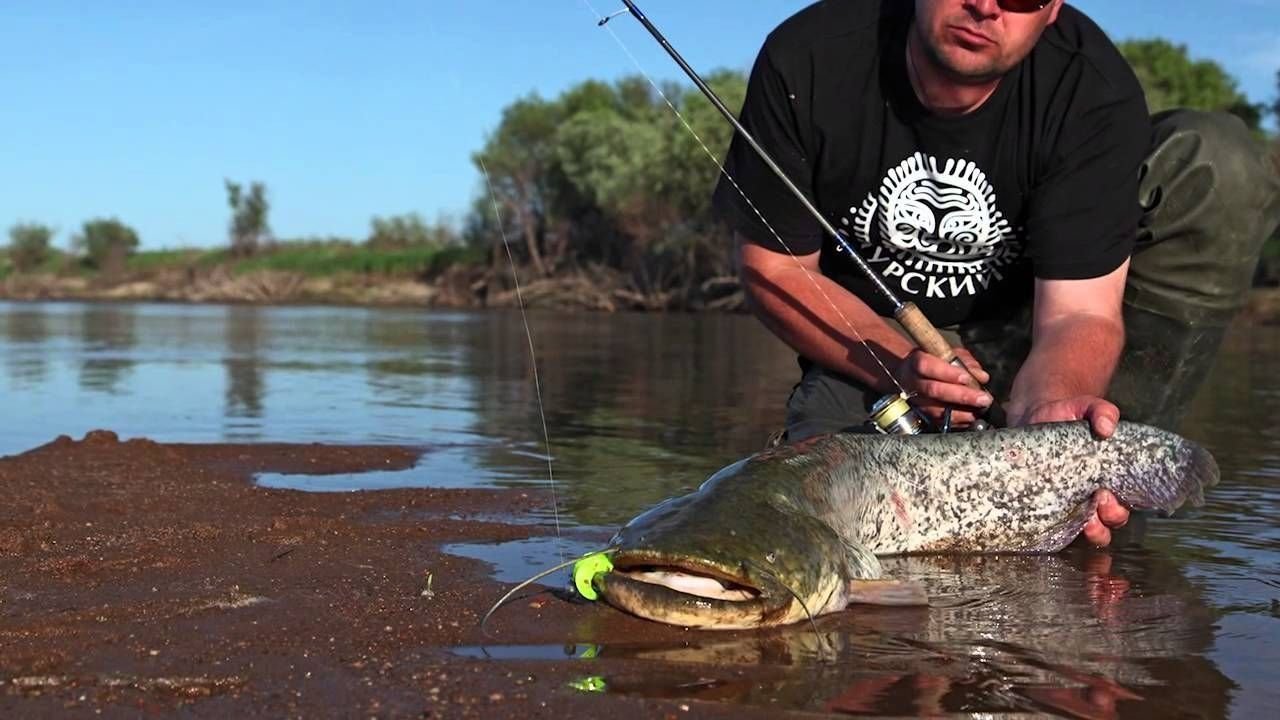 Рыбалка на амуре видео