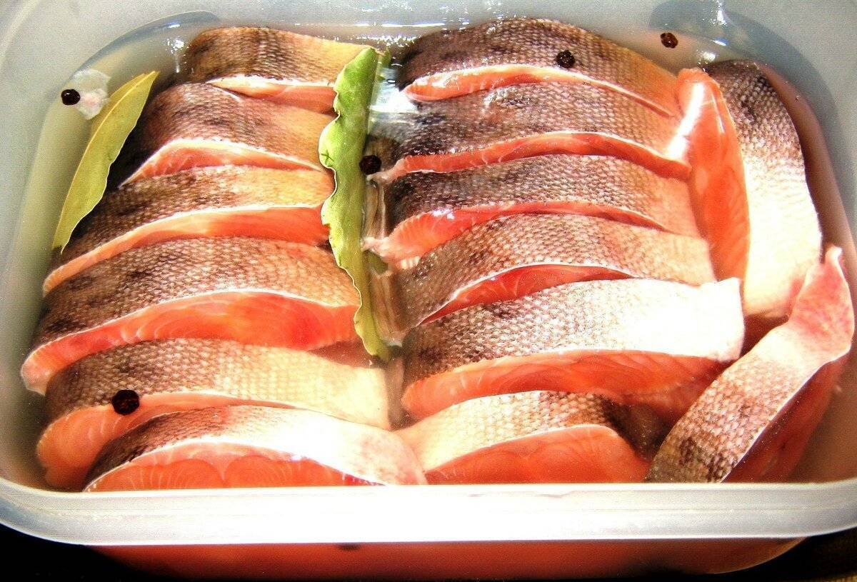 Как быстро и вкусно посолить. Горбуша соленая в домашних. Как засолить горбушу. Горбуша малосольная. Горбуша домашнего посола.