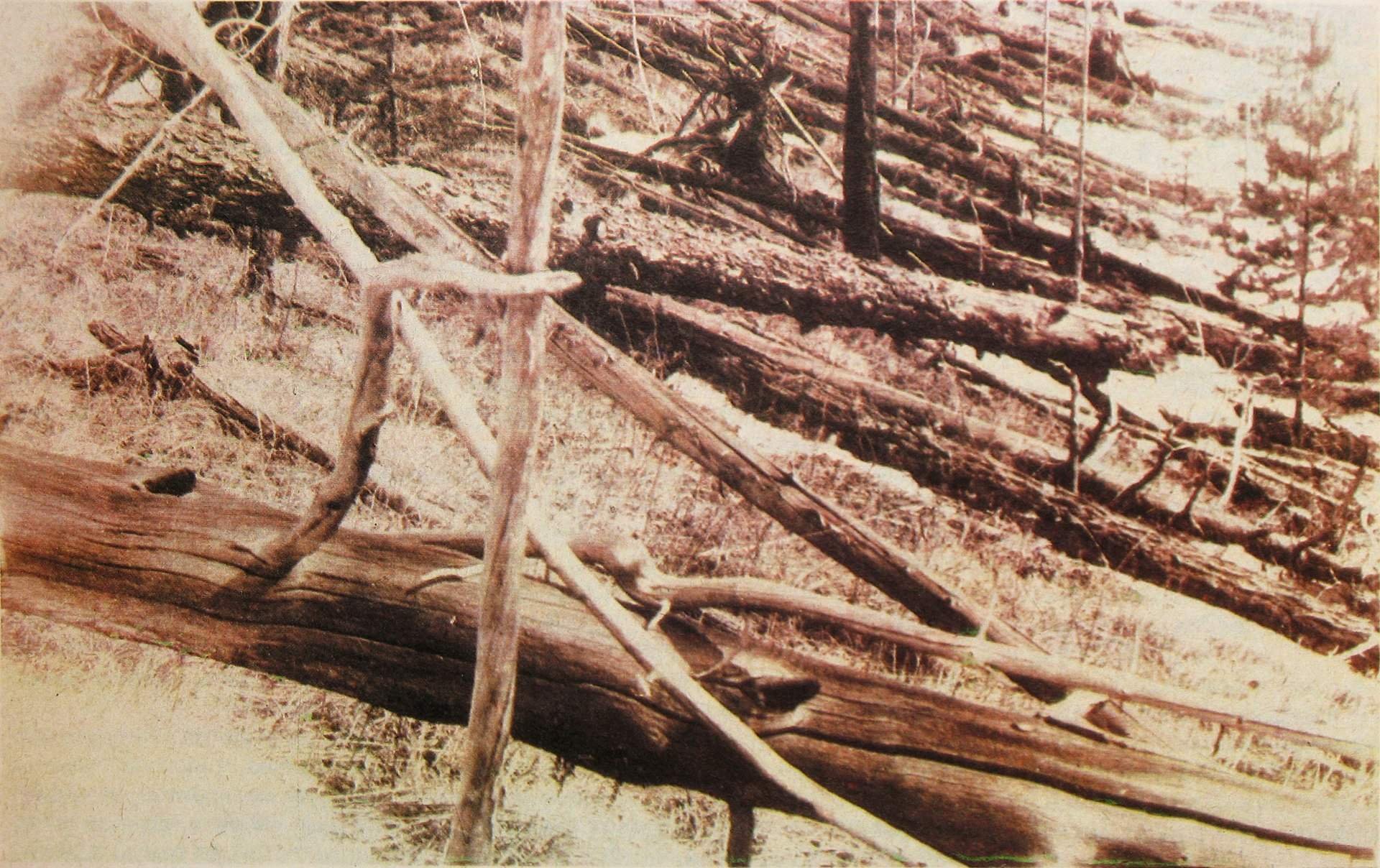 Падение тунгусского метеорита в 1908 году фото