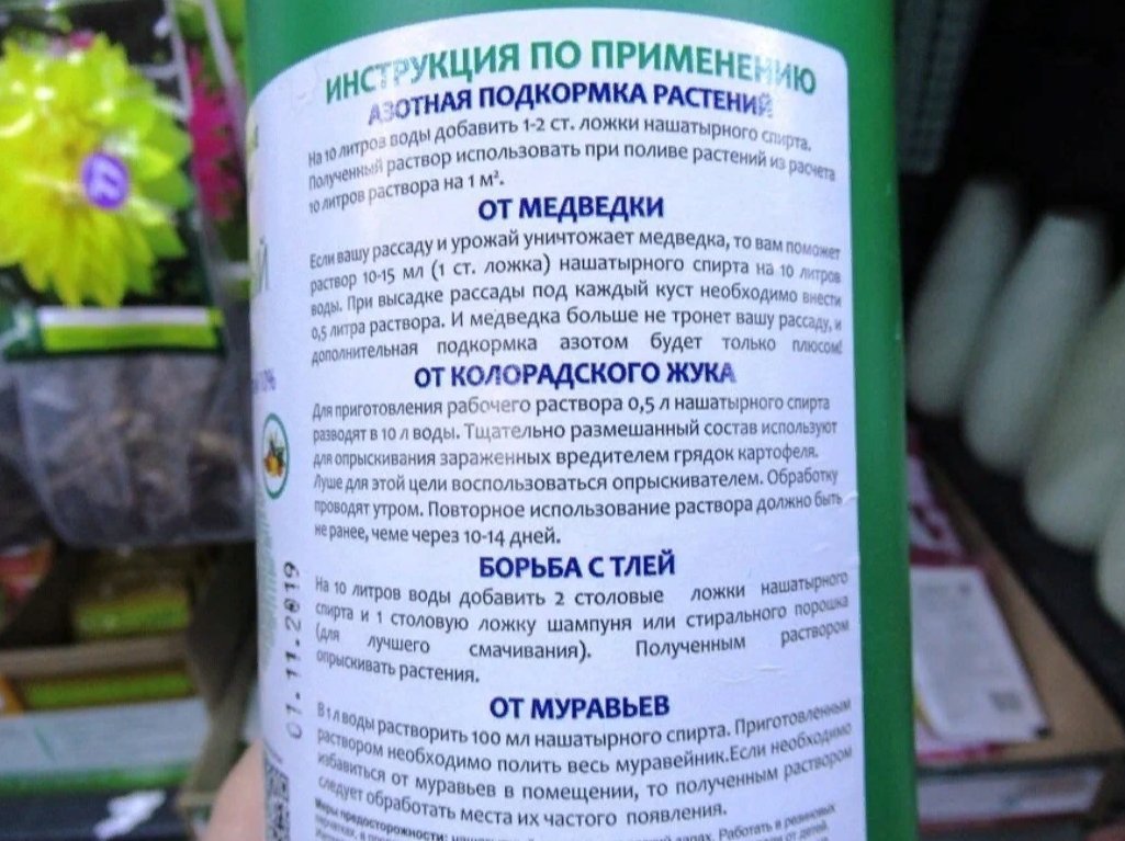 Сколько нашатырного спирта на ведро воды. Подкормка аммиаком растений. Аммиак для растений от вредителей.