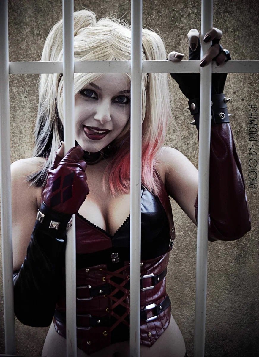 Фото harley quinn