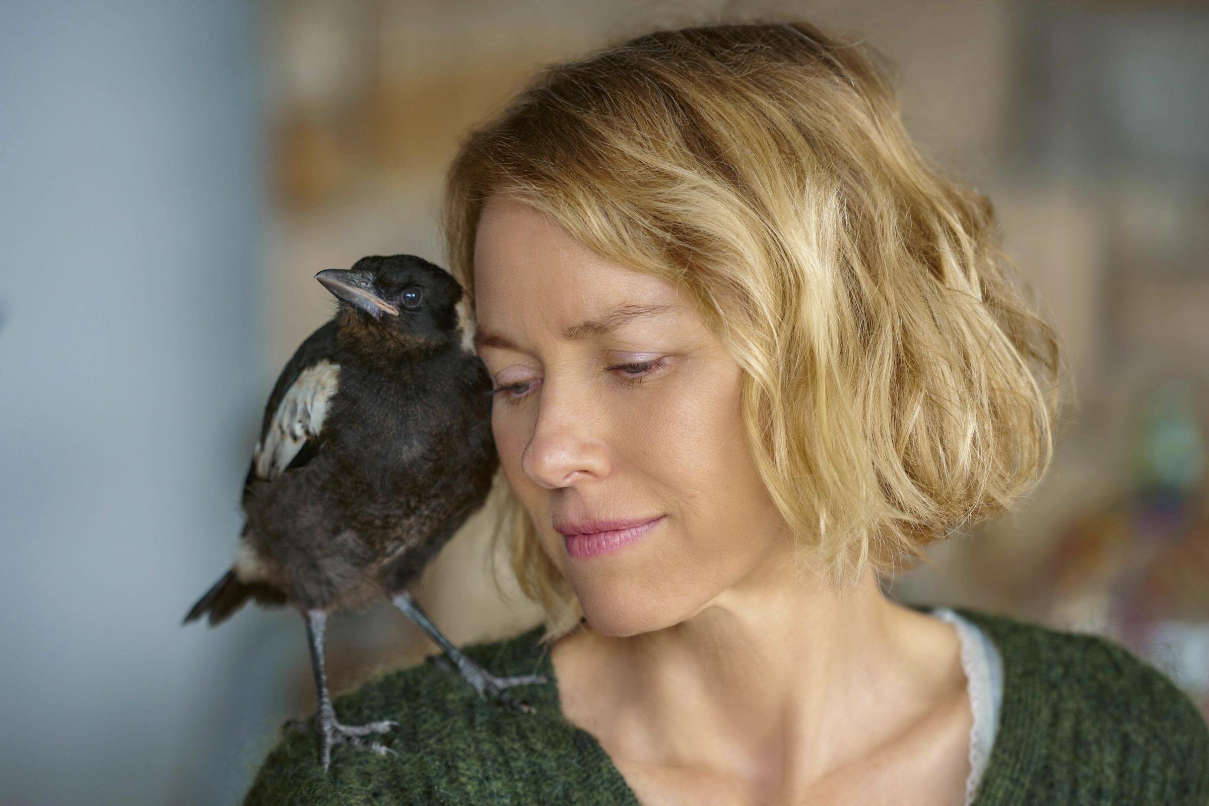 история семьи блум фильм 2020. история семьи блум 2021. семья блум реальная. история семьи блум (penguin bloom) (2020). история семьи блум (2020) наоми уоттс.