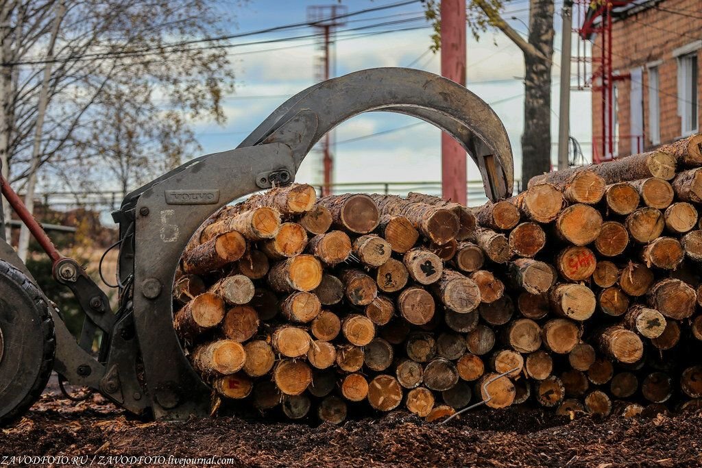 В сегеже построят новые дома