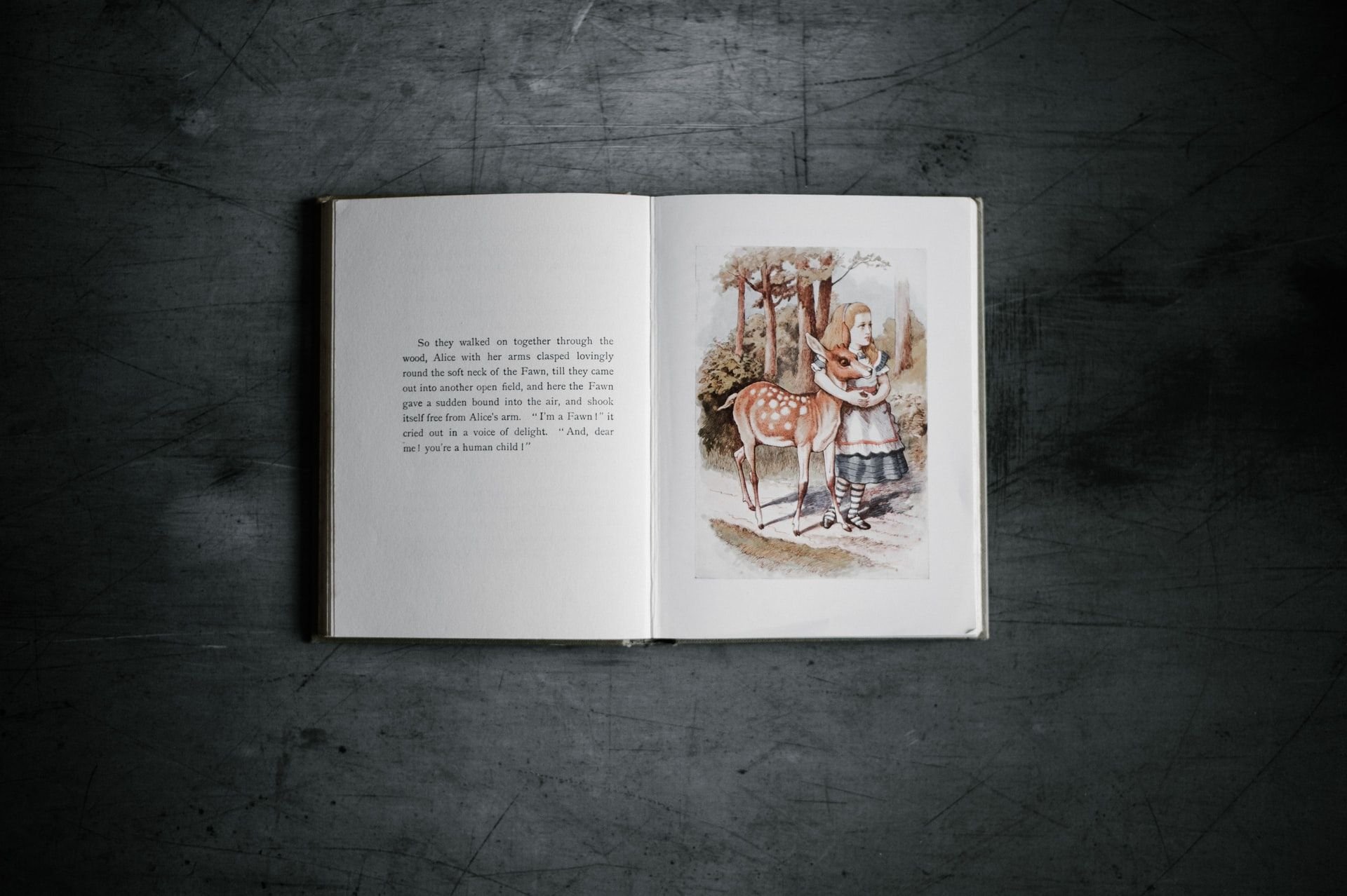 Какую нибудь книгу. Alice in Wonderland book. Автор: Annie Spratt. Alice in Wonderland book illustrations.