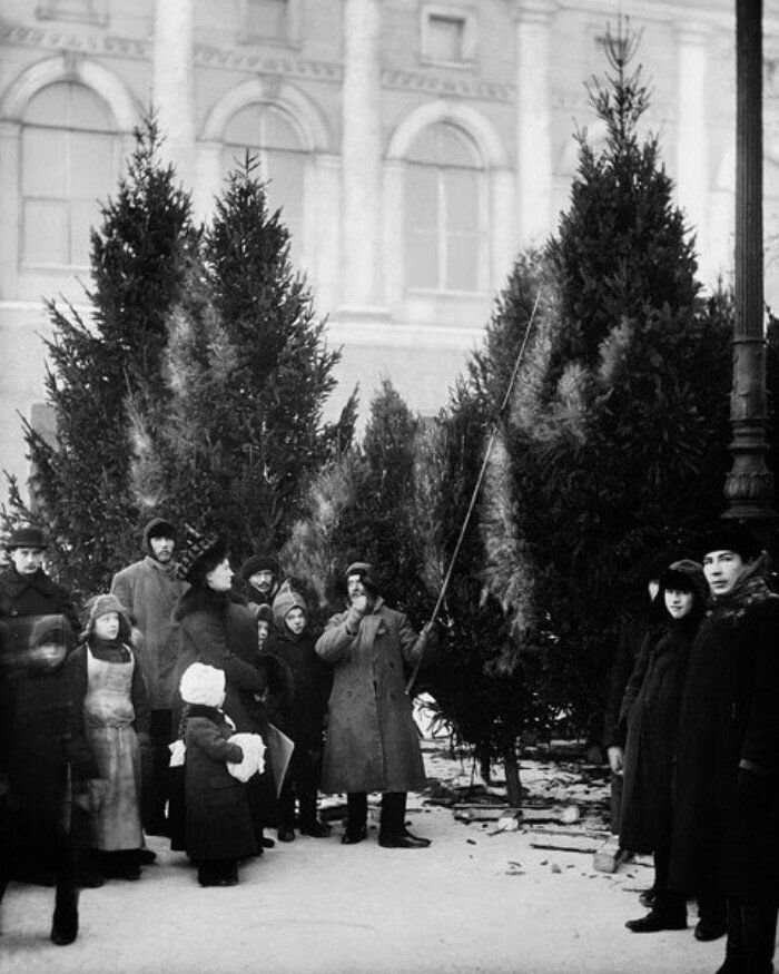 Как праздновали новый год до революции. Ёлочный базар 1913 Екатерининский сад. Елочный базар Россия 19 век. Елочный базар Петербург 19 век. Рождество в императорской России Николай.