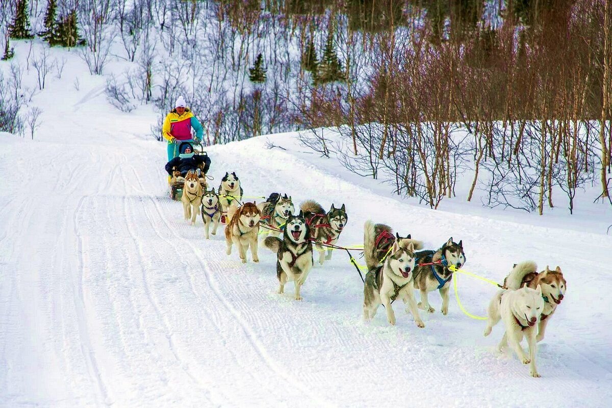 хаски парк омск