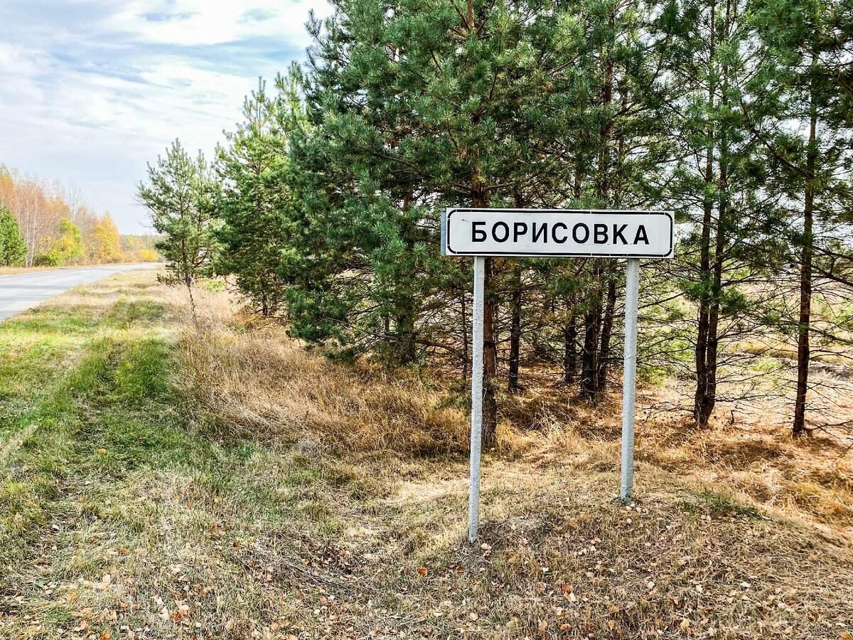 Подольск деревня борисовка