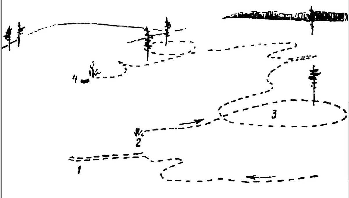Бежал петляя. Схема распутывания заячьих следов. Схема заячьих следов перед лежкой. Тропление зайца русака следы. Тропление зайца схема.