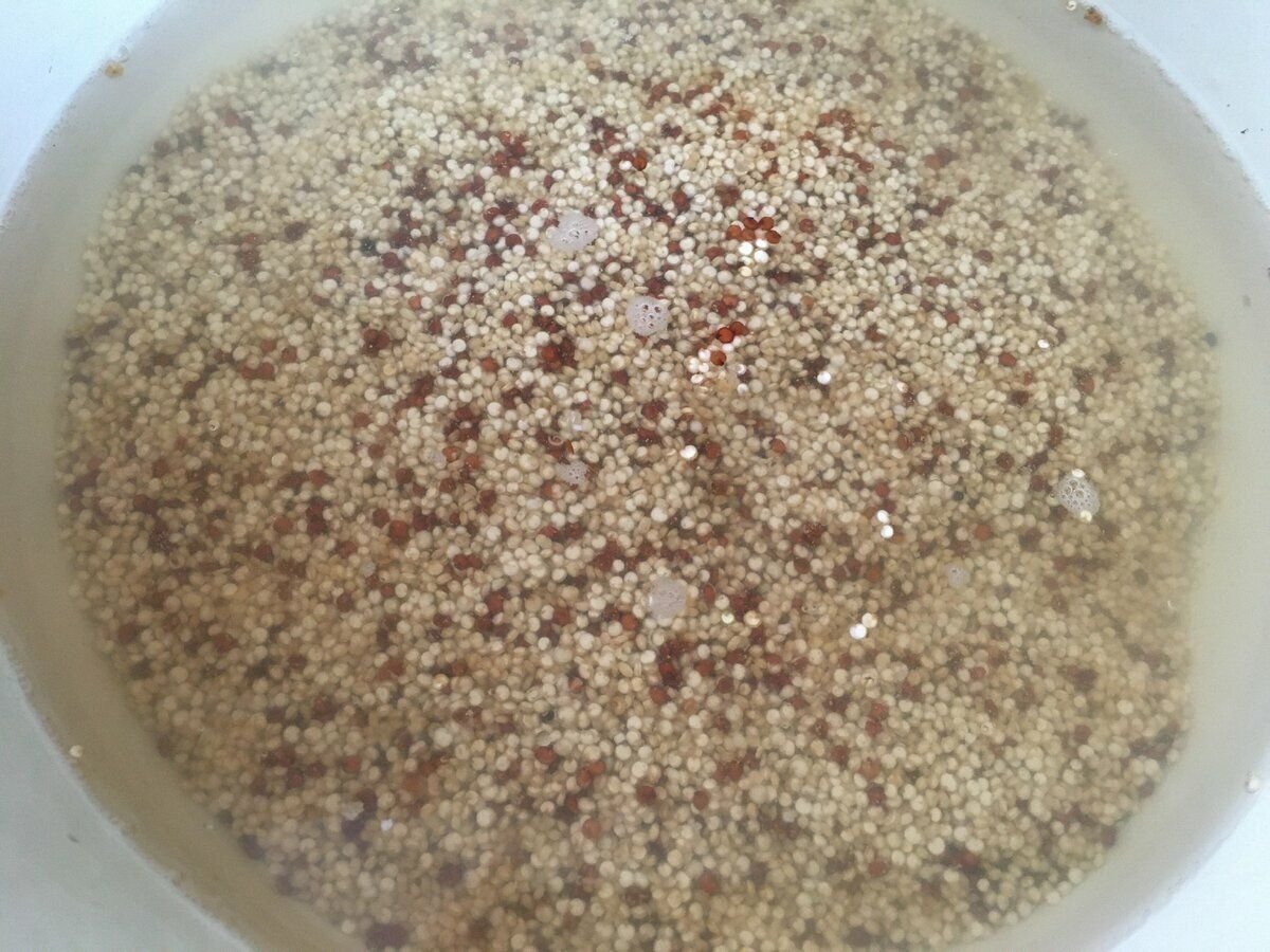 Como se hace la quinoa